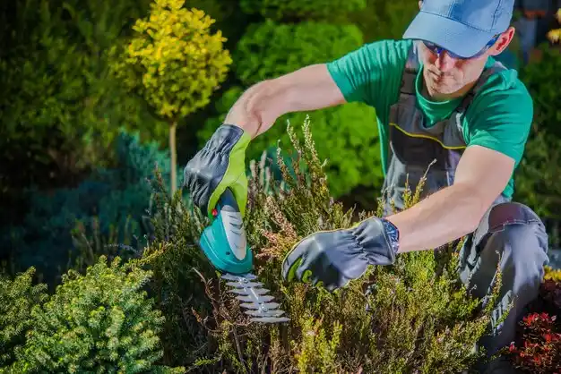 landscaping services Farmersville